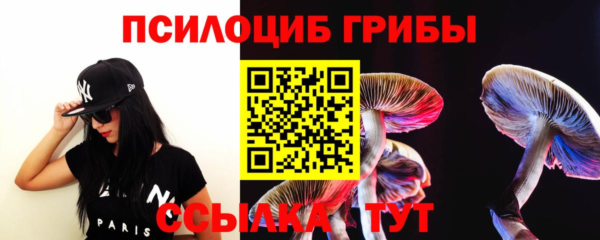 Псилоцибиновые грибы Psilocybine cubensis  Вход с VPN  Псилоцибиновые грибы Cubensis  Заводоуковск 